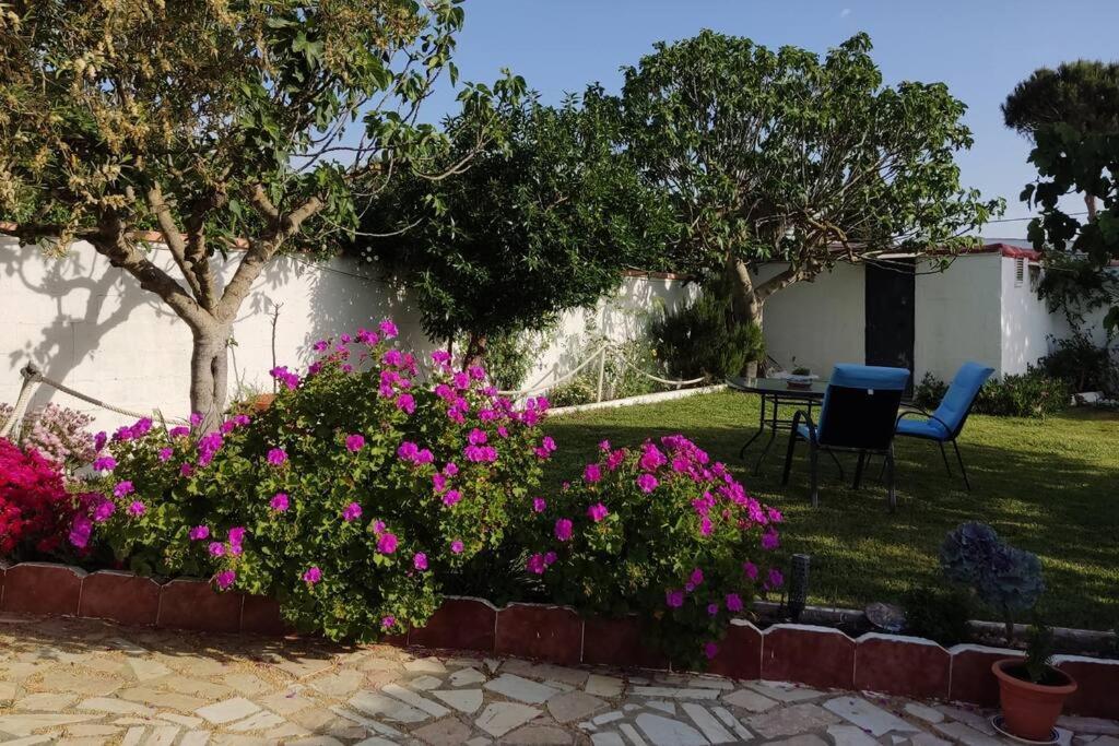 Casa Con Piscina Privada Y Jardin Vila Chiclana de la Frontera Exterior foto